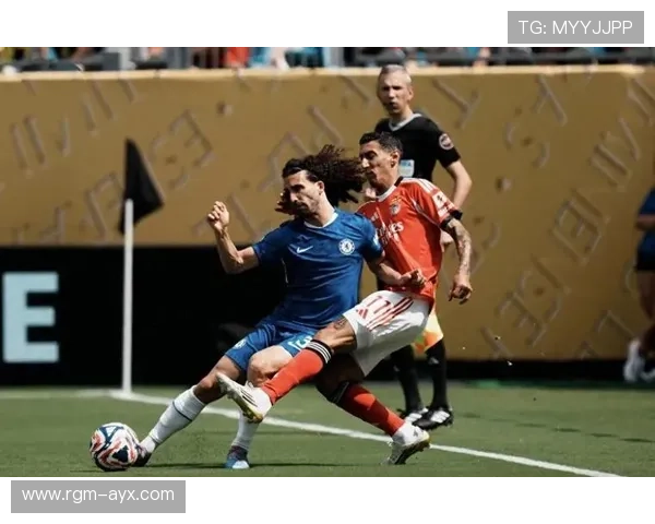 安特卫普赛场精彩瞬间:惊险逆转与精彩进攻交织