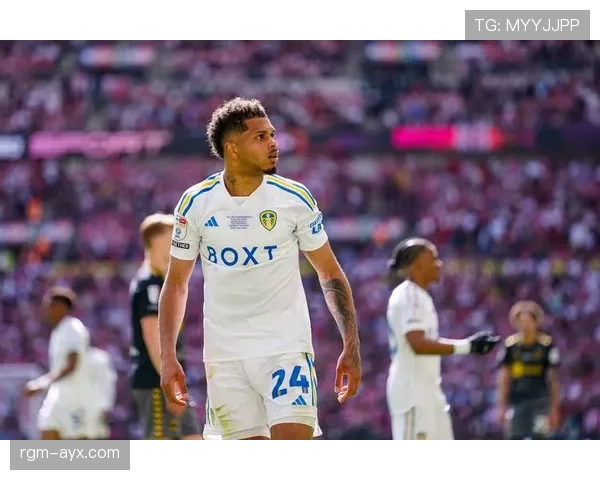 西甲国王杯新冠军诞生，足球界热议其惊艳表现与未来前景