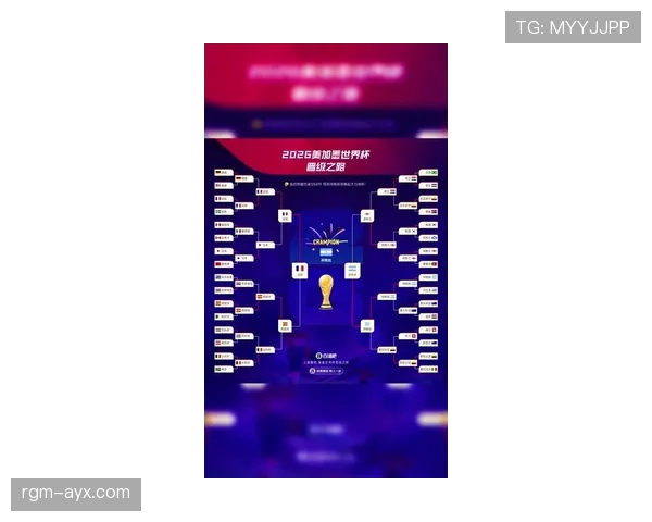 2026世界杯官方顺位规则详解